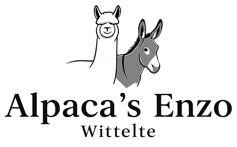 Logo Alpaca's Enzo