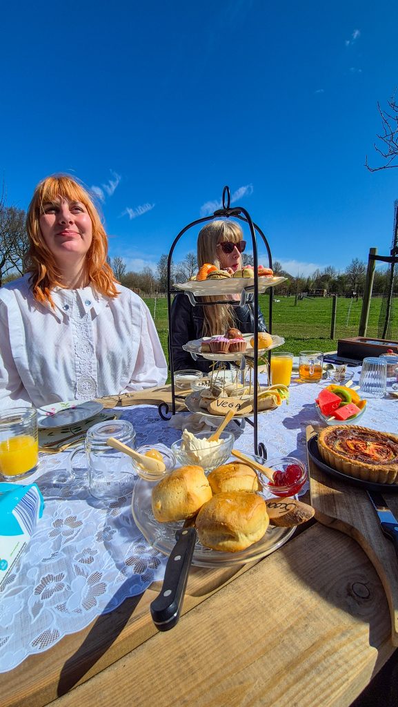 High Tea met Alpaca’s in Drenthe | Uniek Uitje bij Alpaca's & Enzo