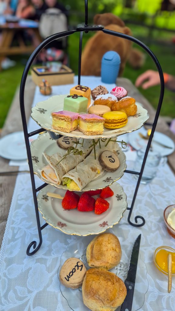 High Tea met Alpaca’s in Drenthe | Uniek Uitje bij Alpaca's & Enzo